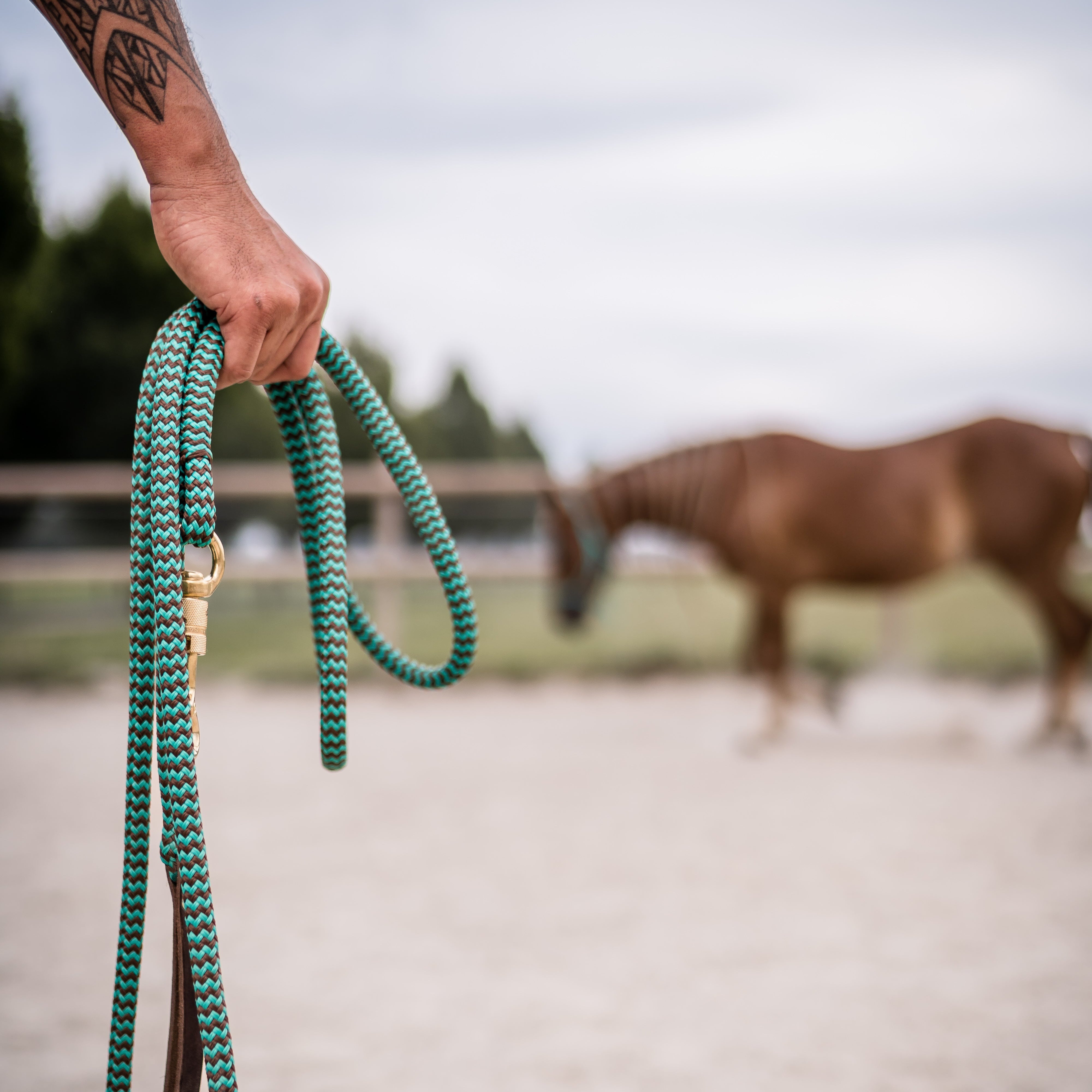 Bodenarbeitsseil mit Karabiner
