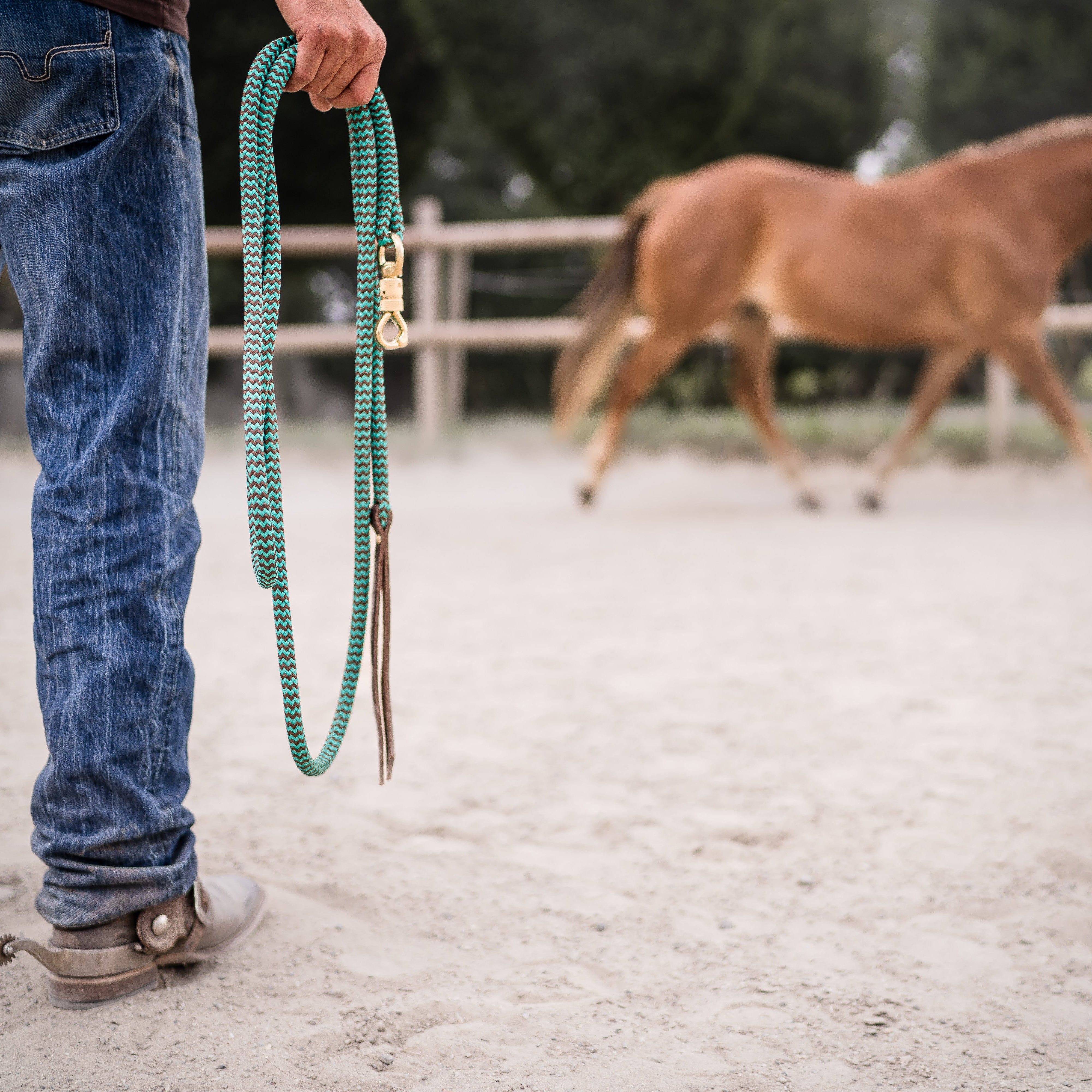 Bodenarbeitsseil mit Karabiner