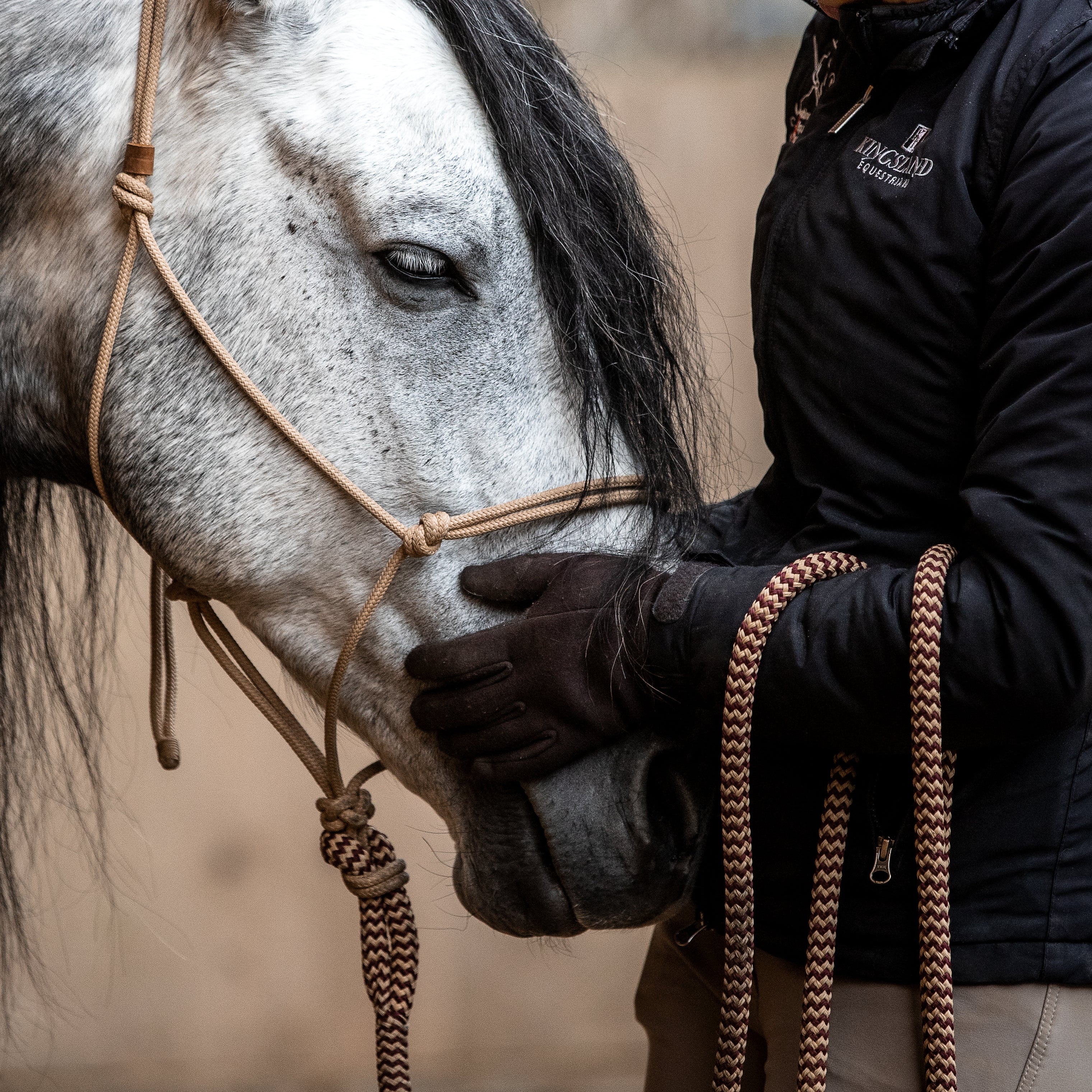 Basic Knotenhalfter Standartgröße