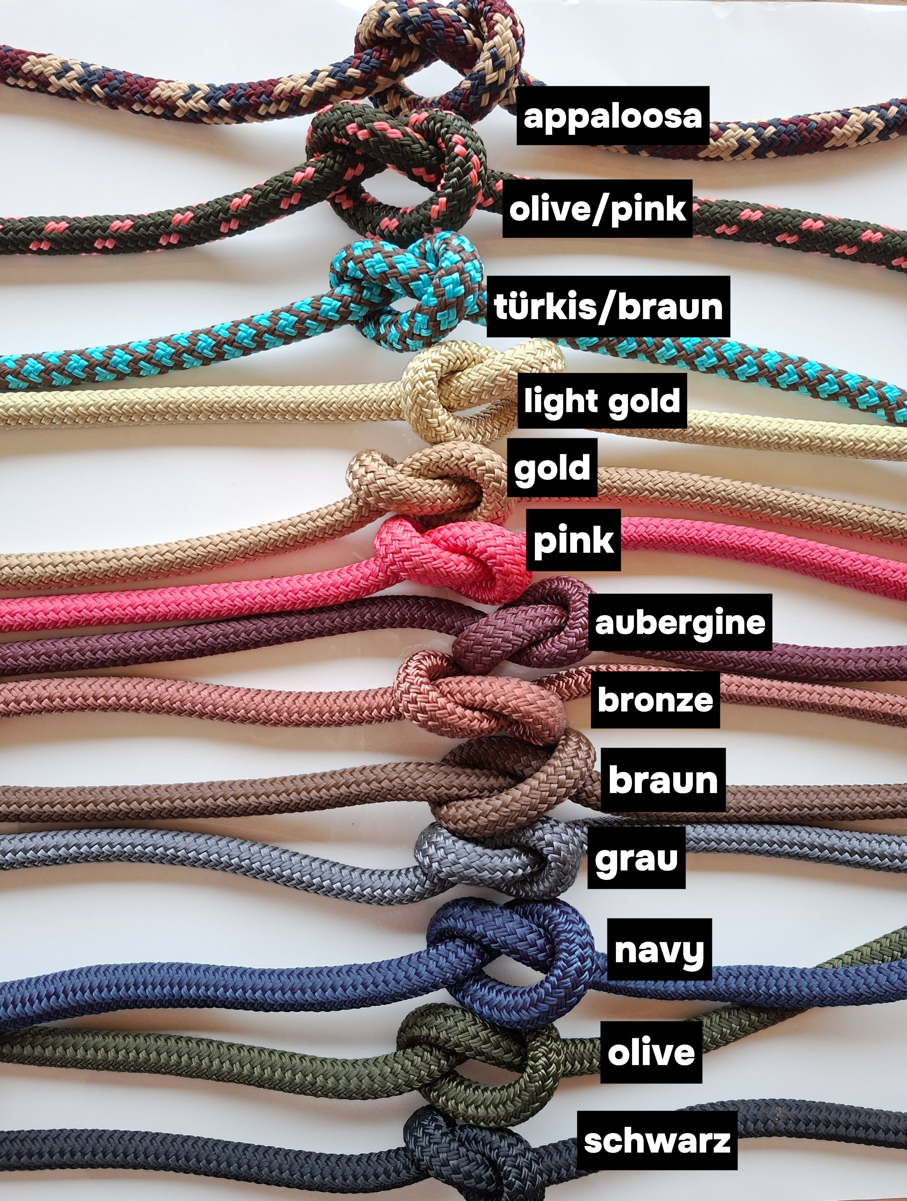 Bodenarbeitsseil mit Karabiner