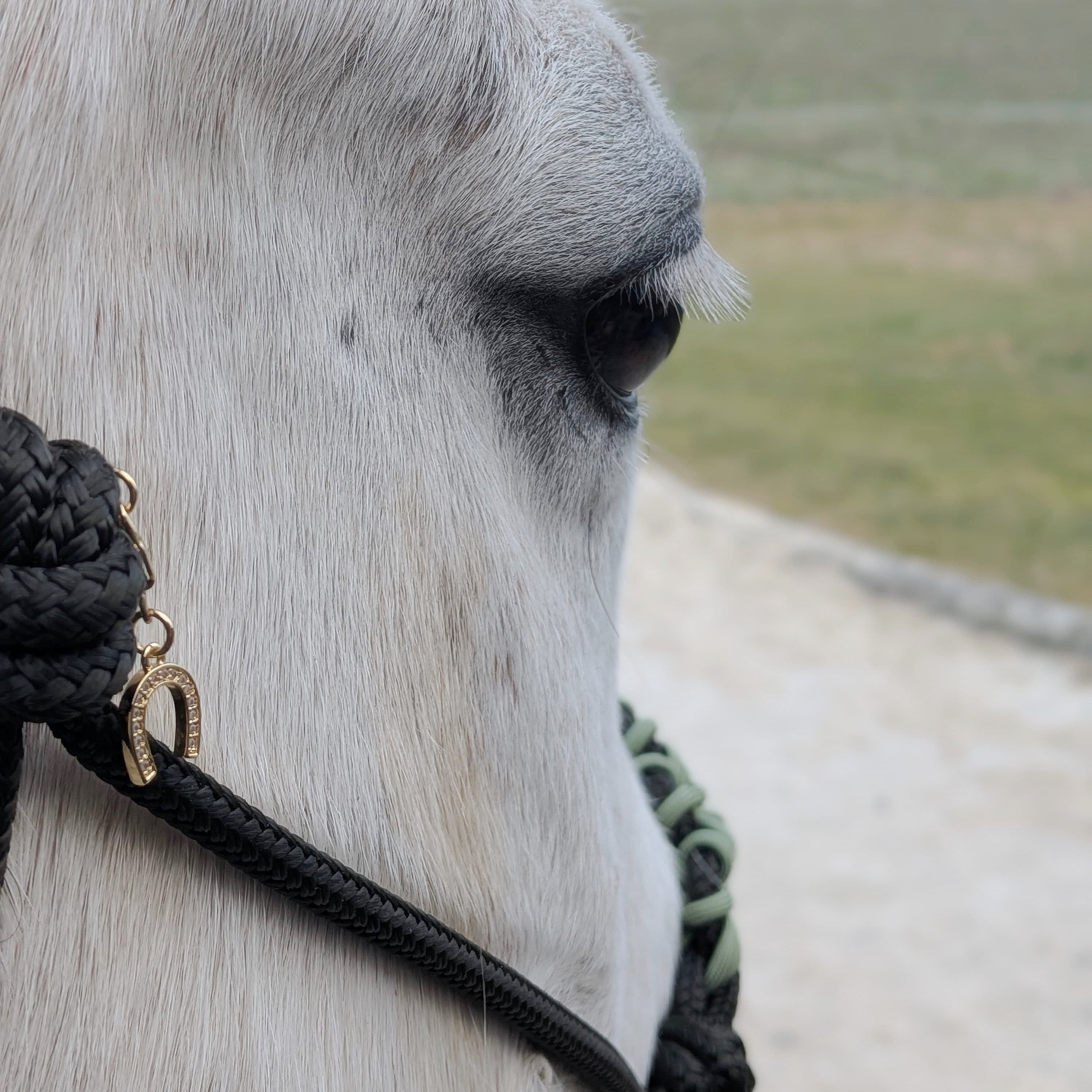 Knotenhalfter 🌸 SPRING